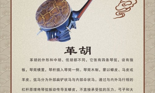 胡萝卜和茄子能一起吃吗